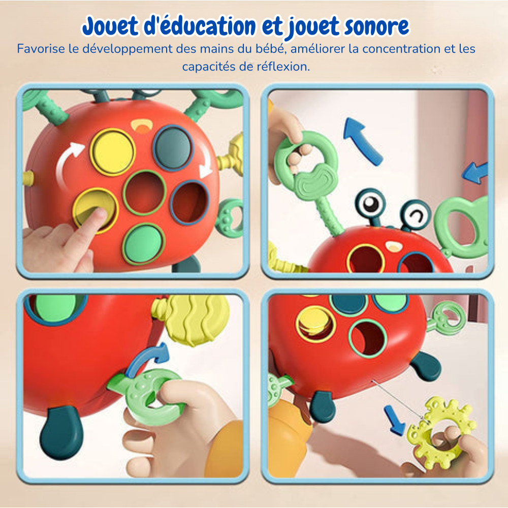 Jouet à Tirer Crabe Montessori – Un Compagnon Ludique pour l'Éveil de Votre Enfant