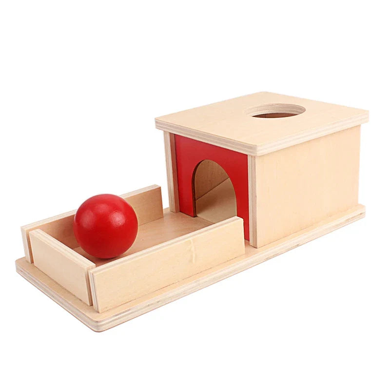 Jeu de Lâcher de Balle Montessori : une découverte captivante pour les tout-petits