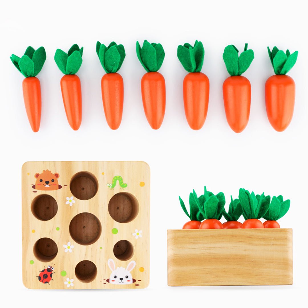 Boîte de Récolte de Carottes Montessori : un jeu sensoriel pour éveiller les petits jardiniers