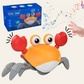 Crabe Musical Montessori – Un Compagnon Amusant pour Encourager Bébé à Bouger
