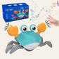 Crabe Musical Montessori – Un Compagnon Amusant pour Encourager Bébé à Bouger