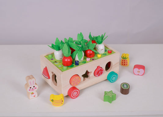 Trieur de Formes Jardin Montessori – Cultivez l'Apprentissage par le Jeu