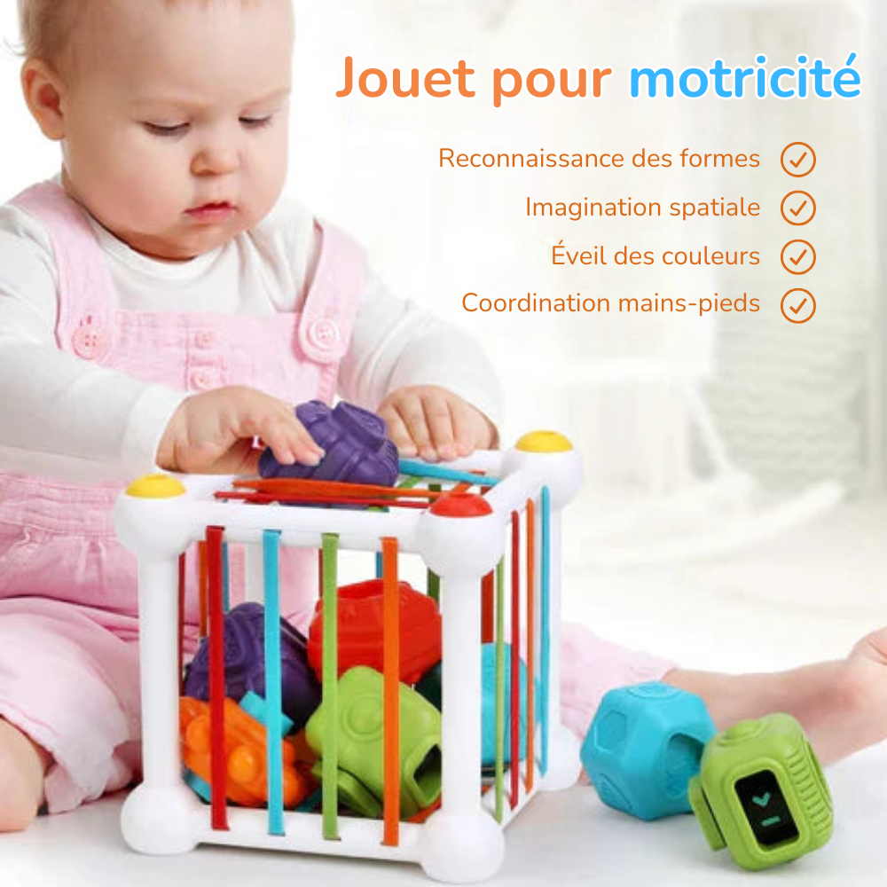 Cube de Tri Montessori – Éveillez la Curiosité et les Compétences de Votre Enfant