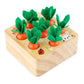 Boîte de Récolte de Carottes Montessori : un jeu sensoriel pour éveiller les petits jardiniers
