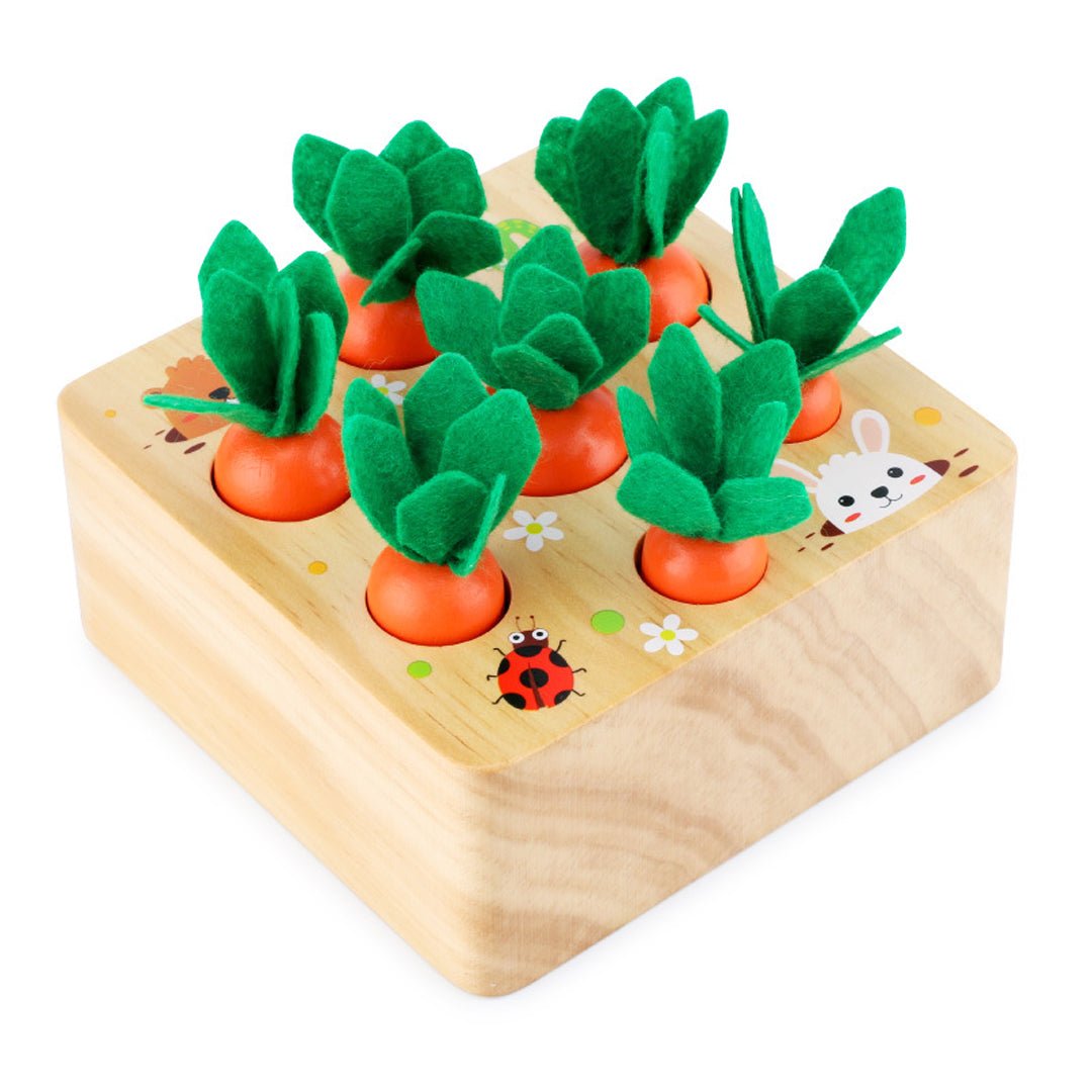 Boîte de Récolte de Carottes Montessori : un jeu sensoriel pour éveiller les petits jardiniers