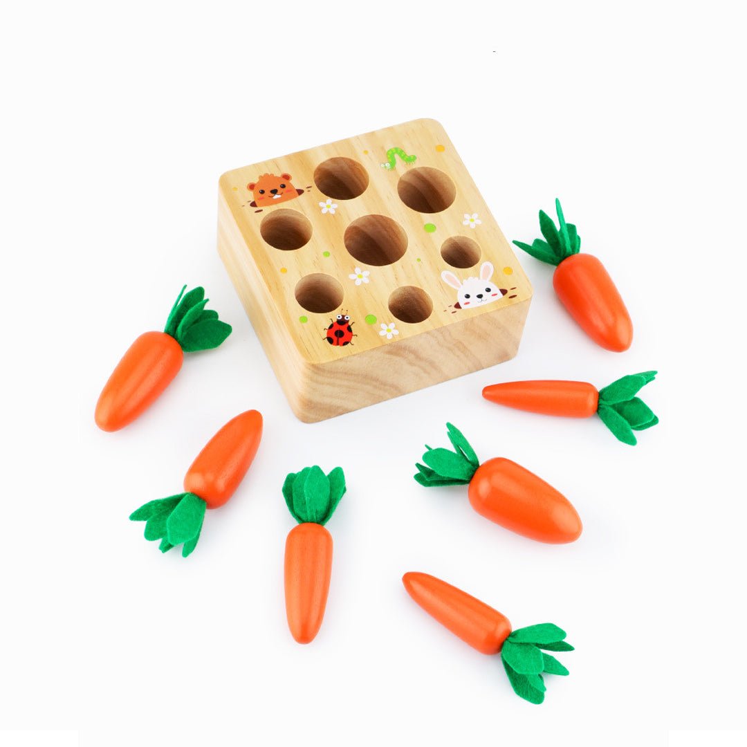 Boîte de Récolte de Carottes Montessori : un jeu sensoriel pour éveiller les petits jardiniers