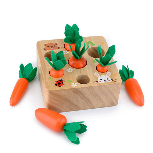 Boîte de Récolte de Carottes Montessori : un jeu sensoriel pour éveiller les petits jardiniers